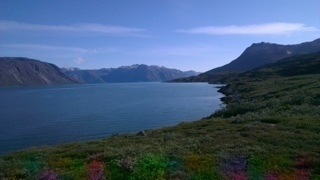 20120724-104222.jpg